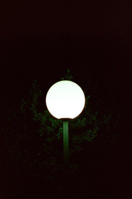 Adi Shacham